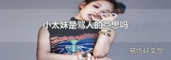 小太妹是骂人的意思吗