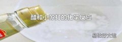 醋和小蘇打的化學反應
