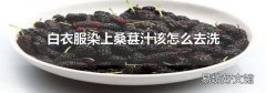 白衣服染上桑葚汁該怎么去洗
