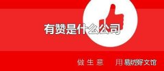 有赞是什么公司 有赞有哪些主要产品