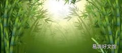 十大名贵竹子品种有哪些 龙竹是世界上最大的竹类之一