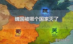 魏国被哪个国家灭了 魏国被秦国灭了