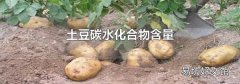 土豆碳水化合物含量
