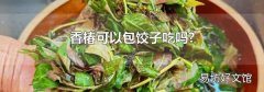 香椿可以包饺子吃吗?