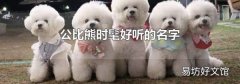 公比熊时髦好听的名字