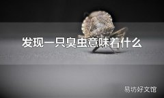 发现一只臭虫意味着什么 发现一只臭虫意味着环境潮湿