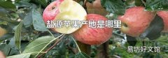 盐源苹果产地是哪里
