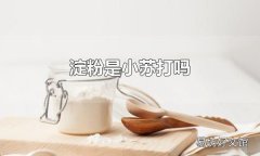 淀粉是小苏打吗 淀粉不是小苏打