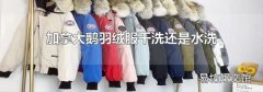 加拿大鹅羽绒服干洗还是水洗