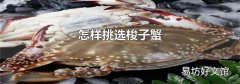 怎樣挑選梭子蟹