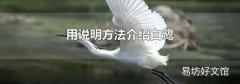 用說明方法介紹白鷺