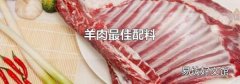 羊肉最佳配料