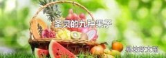 圣靈的九種果子