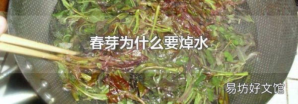 春芽为什么要焯水