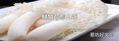 鲜竹荪怎么吃