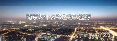 南京為什么稱之為大藍鯨