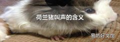 荷兰猪叫声的含义