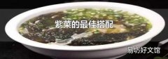 紫菜的最佳搭配