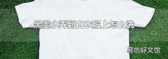 黑墨水弄到白衣服上怎么洗
