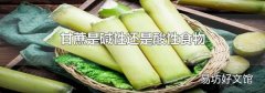 甘蔗是堿性還是酸性食物