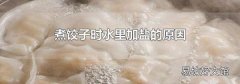 煮餃子時水里加鹽的原因