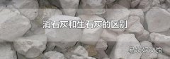 消石灰和生石灰的區別