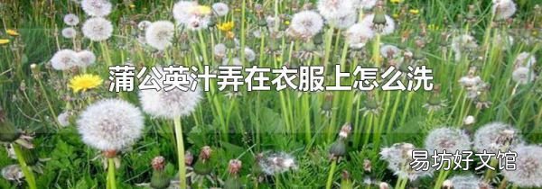 蒲公英汁弄在衣服上怎么洗