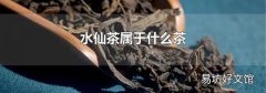 水仙茶屬于什么茶