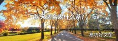 秋天適合喝什么茶?