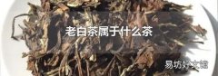 老白茶属于什么茶