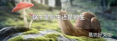 蝸牛是胎生還是卵生