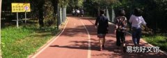 2万步多少卡路里