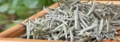 白茶有什么