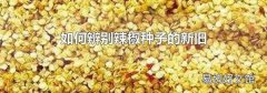 如何辨别辣椒种子的新旧