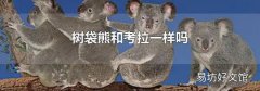 树袋熊和考拉一样吗