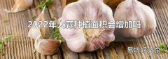 2022年大蒜种植面积会增加吗