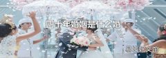 四十年婚姻是什么婚