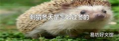 刺猬冬天是怎么过冬的