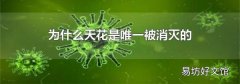 为什么天花是唯一被消灭的