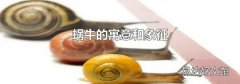 蝸牛的寓意和象征