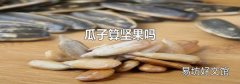 瓜子算堅果嗎