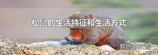松鼠的生活特征和生活方式