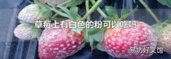 草莓上有白色的粉可以吃吗