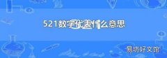 521数字代表什么意思