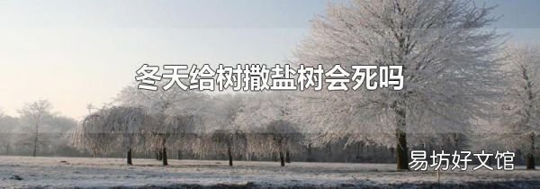 冬天给树撒盐树会死吗