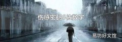 伤感密码6位数字