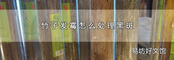 竹子發霉怎么處理黑斑