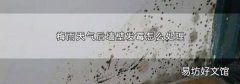 梅雨天氣后墻壁發霉怎么處理