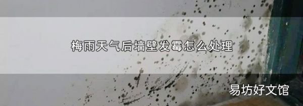 梅雨天氣后墻壁發霉怎么處理