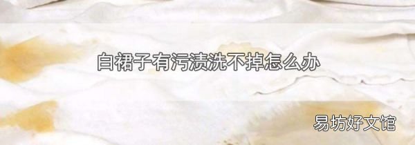 白裙子有污漬洗不掉怎么辦